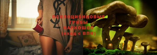 не бодяженный Богданович