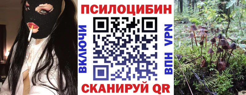 Псилоцибиновые грибы Magic Shrooms  Купить закладки  Вязьма 
